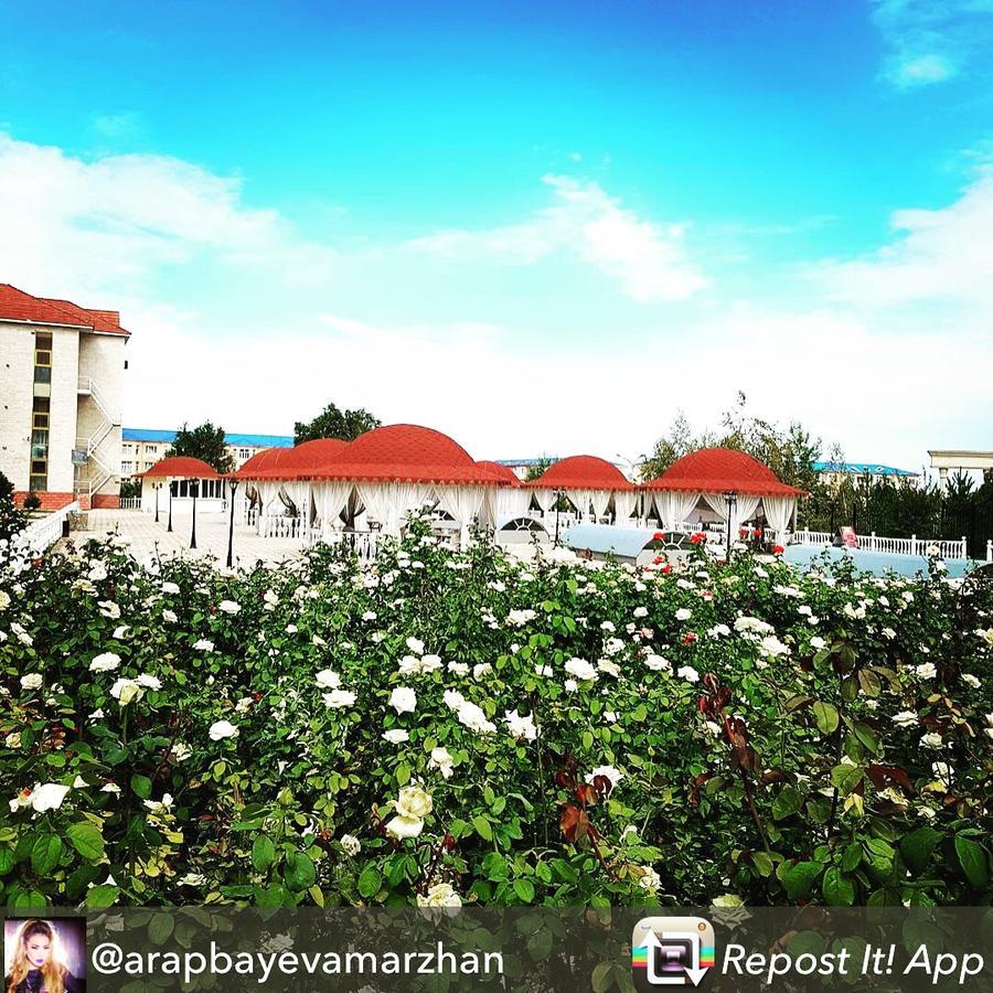 Hotel Ark Ms Taras Exterior foto